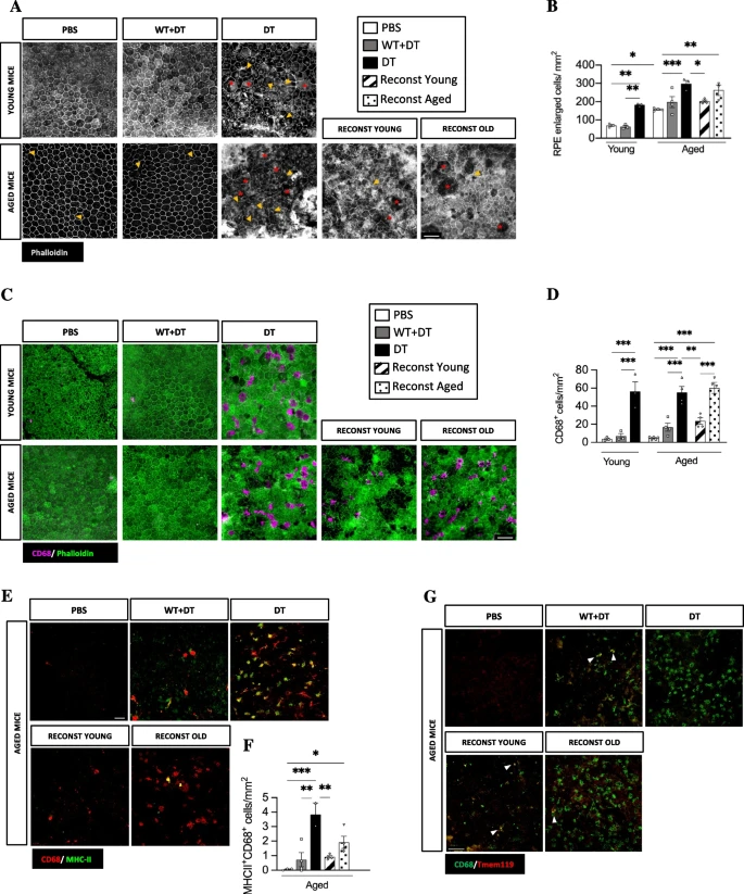 Molecular Neurodegeneration tweet media