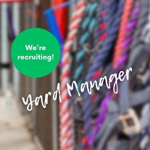 🐴@CavalierCentre is looking for a skilled and capable Yard Manager to be responsible for all aspects of their day-to-day yard operations.

🤔 Could this be you? Find out more and how to apply, here 👉 cavaliercentre.org/job-posting-ya…

🗓 Closing date: 18th April, 2024