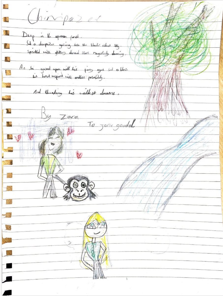 Some beautiful illustrations, by Zara at Thomas Buxton Primary School, to Dr Jane Goodall, to celebrate her 90th Birthday 🌱 Roots & Shoots UK #JaneAt90 #CelebrateJaneAt90 #RootsAndShootsUK