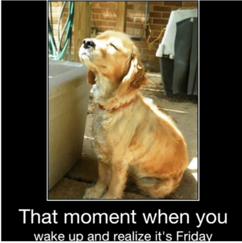 MHEngSolutions's tweet image. Happy Friday Friends! Enjoy your day! 🌞