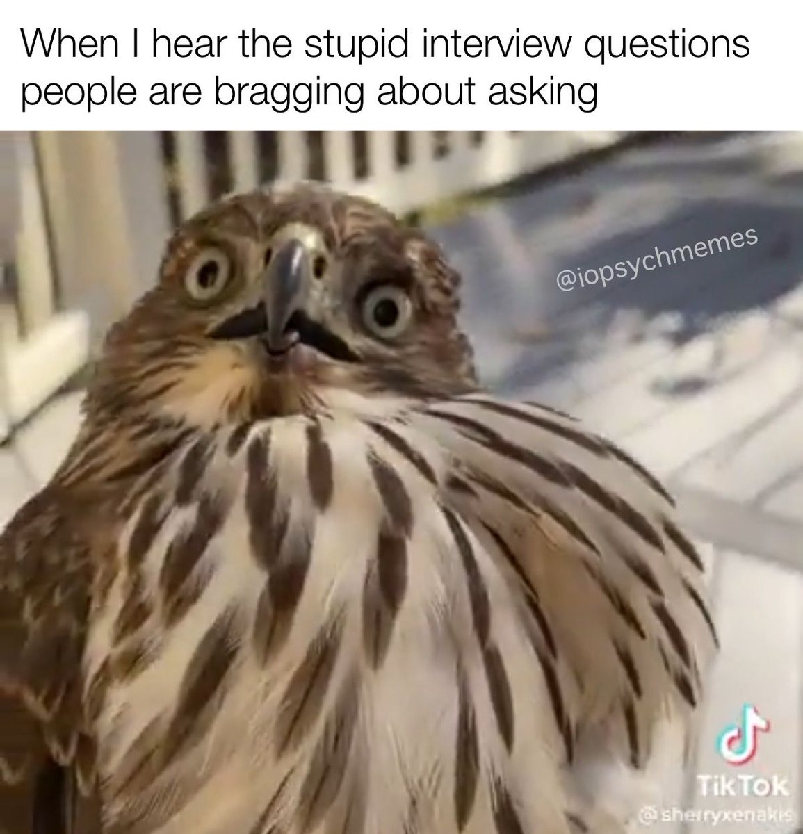 The last one I heard about was “If you got fired for cause, what would it be for?” What, exactly, does this measure?? #interview #hr #OHPsych #IOPsych #iopsychmemes #psychology #psychologymemes #psychmemes #APpsych