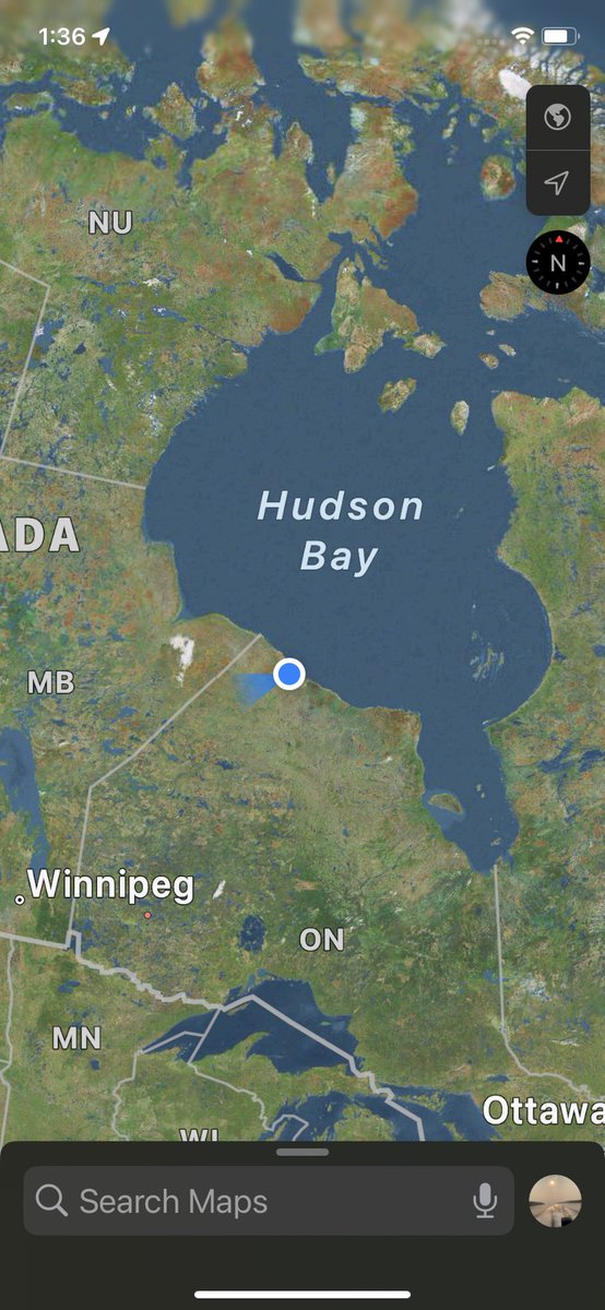 KPDSBMercer tweet media