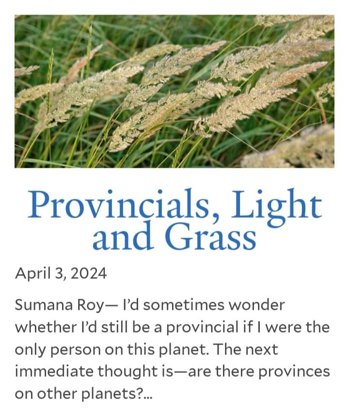 A very short essay I wrote about how my first understanding of provinciality might have come from a child's understanding of the behaviour of light and the plant world -- on the Yale University Press website: yalebooks.yale.edu/2024/04/03/pro… @yalepress