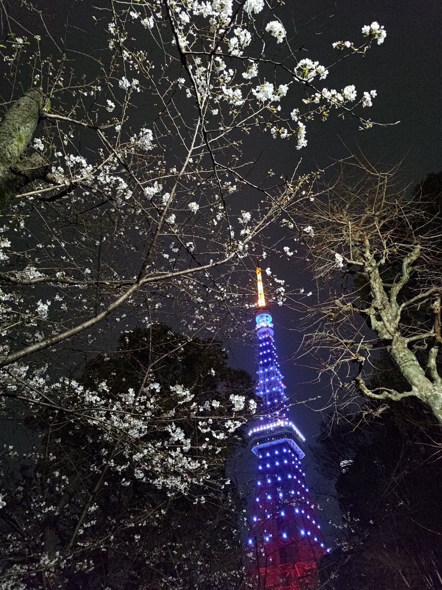 AutumnWindz's tweet photo. Tokyo sakura 🌸 https://t.co/8gKlRm7ems