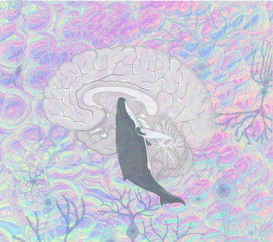 Call Me Serotonin! Click the link below for a quick read on the history of my favorite molecule and importantly, what we know and don't know about serotonin in depression and anxiety.  Congratulations Cameron!  It's your week! <a href="/uclachem/">UCLA Chem & Biochem</a> 
rdcu.be/dDMUq