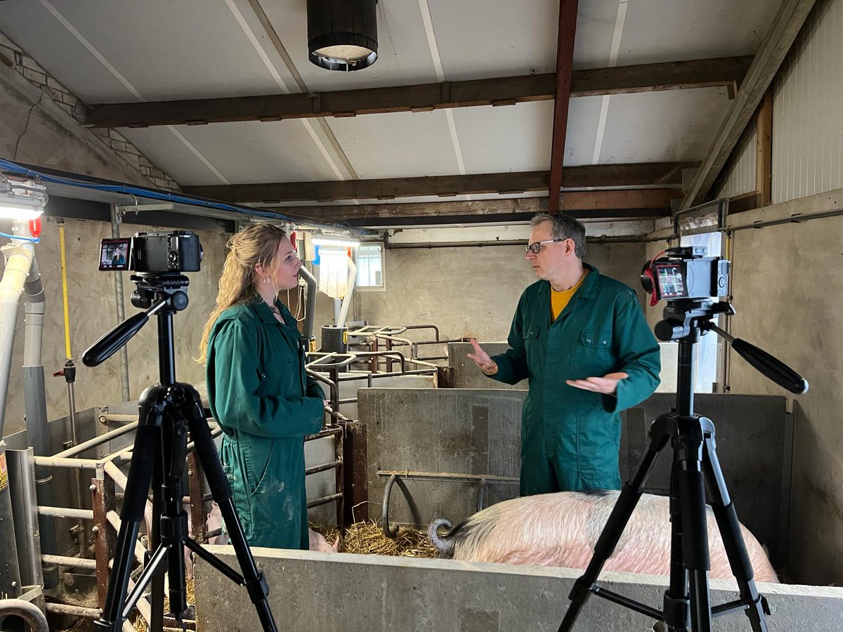 And more #pigs crossed my path today. Together with colleagues Iris Hofman and Paulus Maessen I visited the organic farm of Ruben Exterkate today, near Bentelo, the Netherlands 🇳🇱. He was kind enough to allow us to make videos for use on @PigProgress in the next months to come.