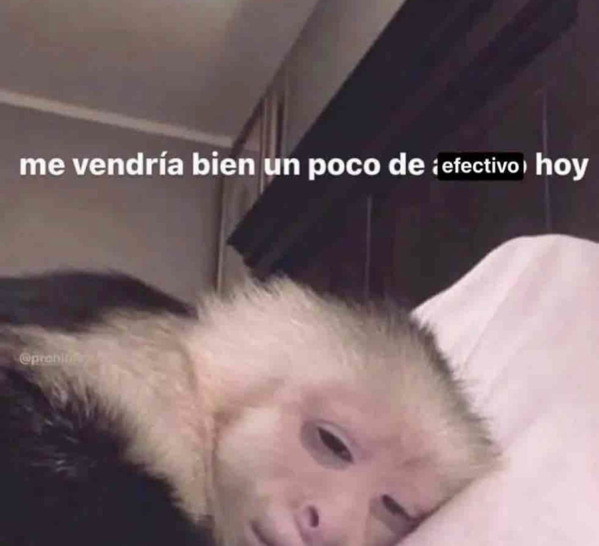 Hoy y todos los días.