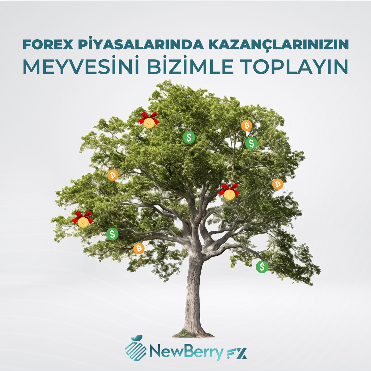 NewberryTrades's tweet photo. Birikimlerinizi forex piyasalarında değerlendirerek kazanç sağlayabilirsiniz.

#yatırım #forex #fx #forextürkiye https://t.co/mQMEtbH30A