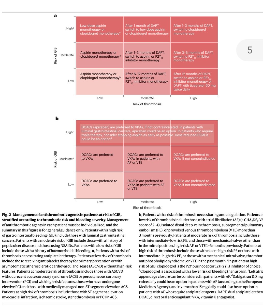 rksanti's tweet photo. 💯Excelente revisión de Nature-2024🚨💊
✅Optimización del tratamiento antitrombótico en pacientes con enfermedades cardiovasculares y gastrointestinales coexistentes🚨

✳️DOI: 10.1038/s41569-024-01003-3
✳️https://t.co/0TBrAyG0Dz https://t.co/TA8efioJML