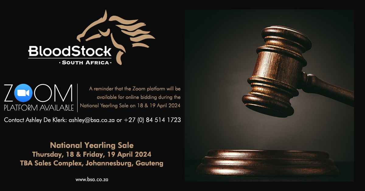 The Zoom Platform is available for online bidding during the National Yearling Sale. Contact Ashley de Klerk for more information: ashley@bsa.co.za or 084 514 1723