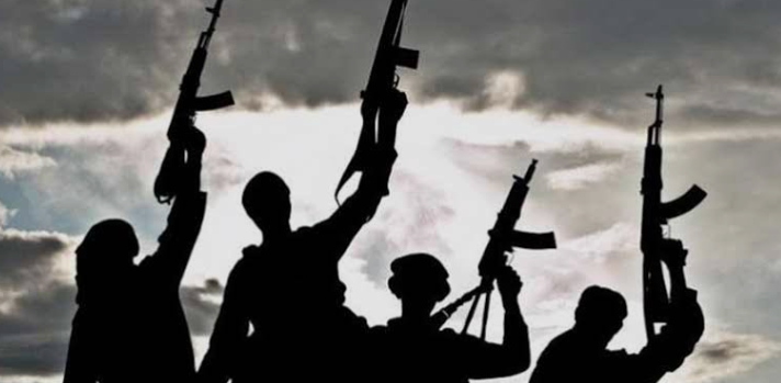 PeaceGuild_'s tweet image. Young people must be vanguards of peace, security and inclusive sustainable development of communities. We must engage both friend and foe to combat violent extremism, radicalism, corruption, and promote international cooperation and diplomacy. That is our commitment as GPG.
