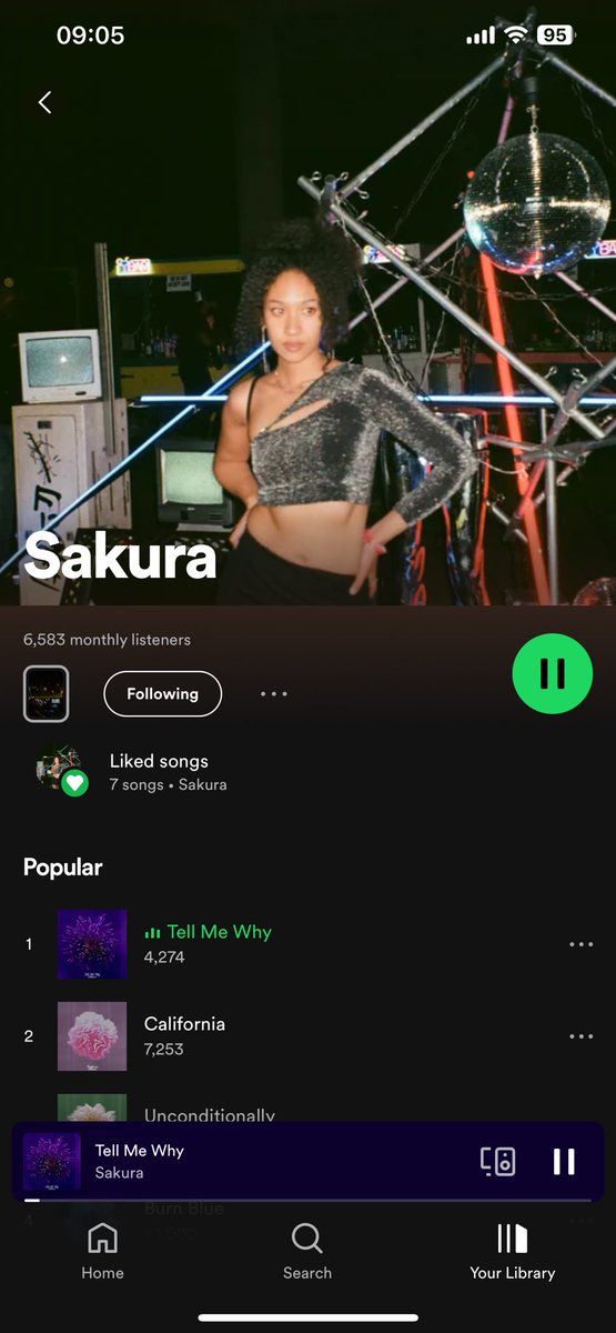 Sakura tweet media
