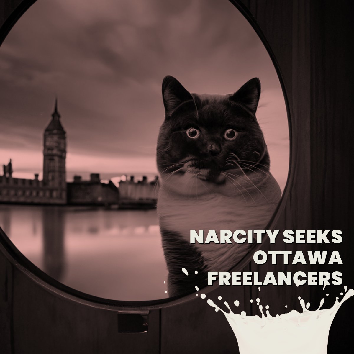 KITI Social #followtheinstinct tweet media