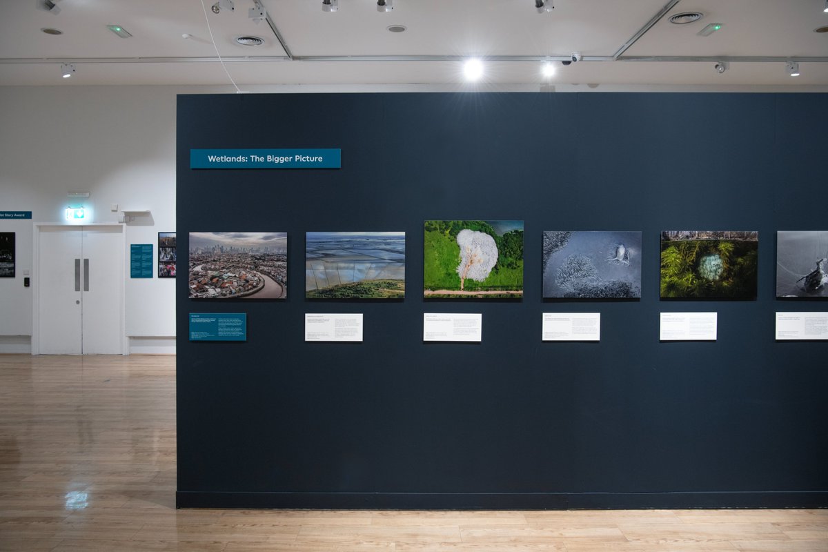‘Wetlands – The Bigger Picture’ is just one of many categories to explore in Wildlife Photographer of the Year. The stunning photography in the exhibition will leave you truly inspired! @NHM_WPY is free to visit, find out more 👇 sunderlandmuseum.org.uk 📷 Colin Davison