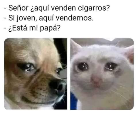 Ontas jefecito😔😿😿🐾🐾