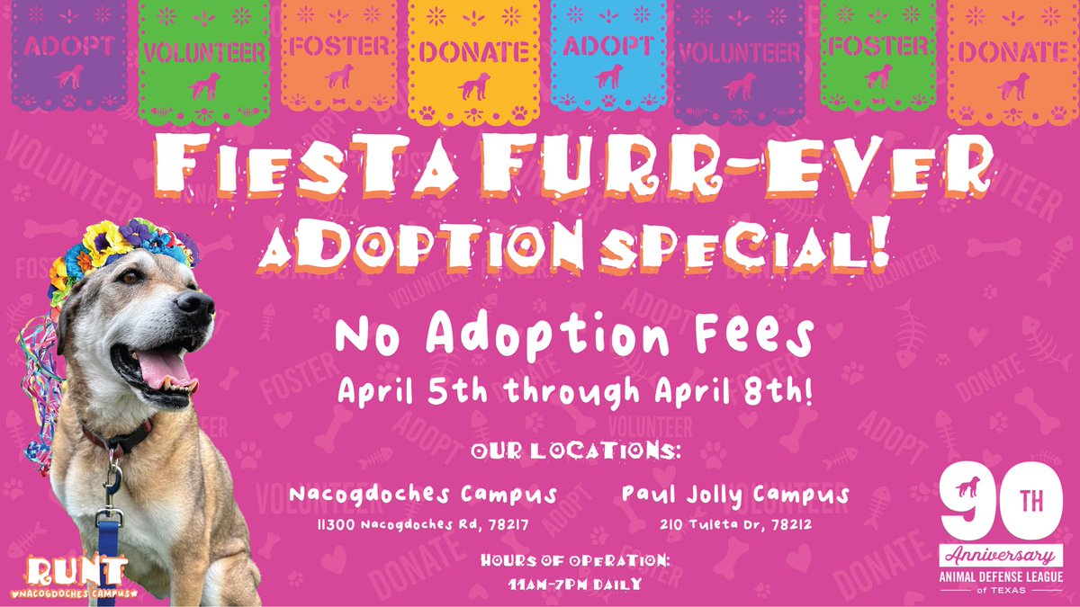 We’re getting in the #Fiesta spirit with our Fiesta Furr-EVER adoption special! 🩷