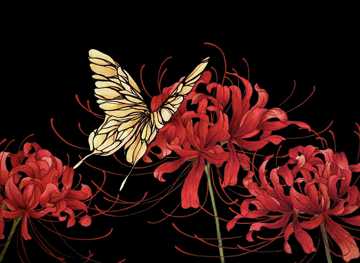 simple background flower no humans traditional media black background bug red flower  illustration images