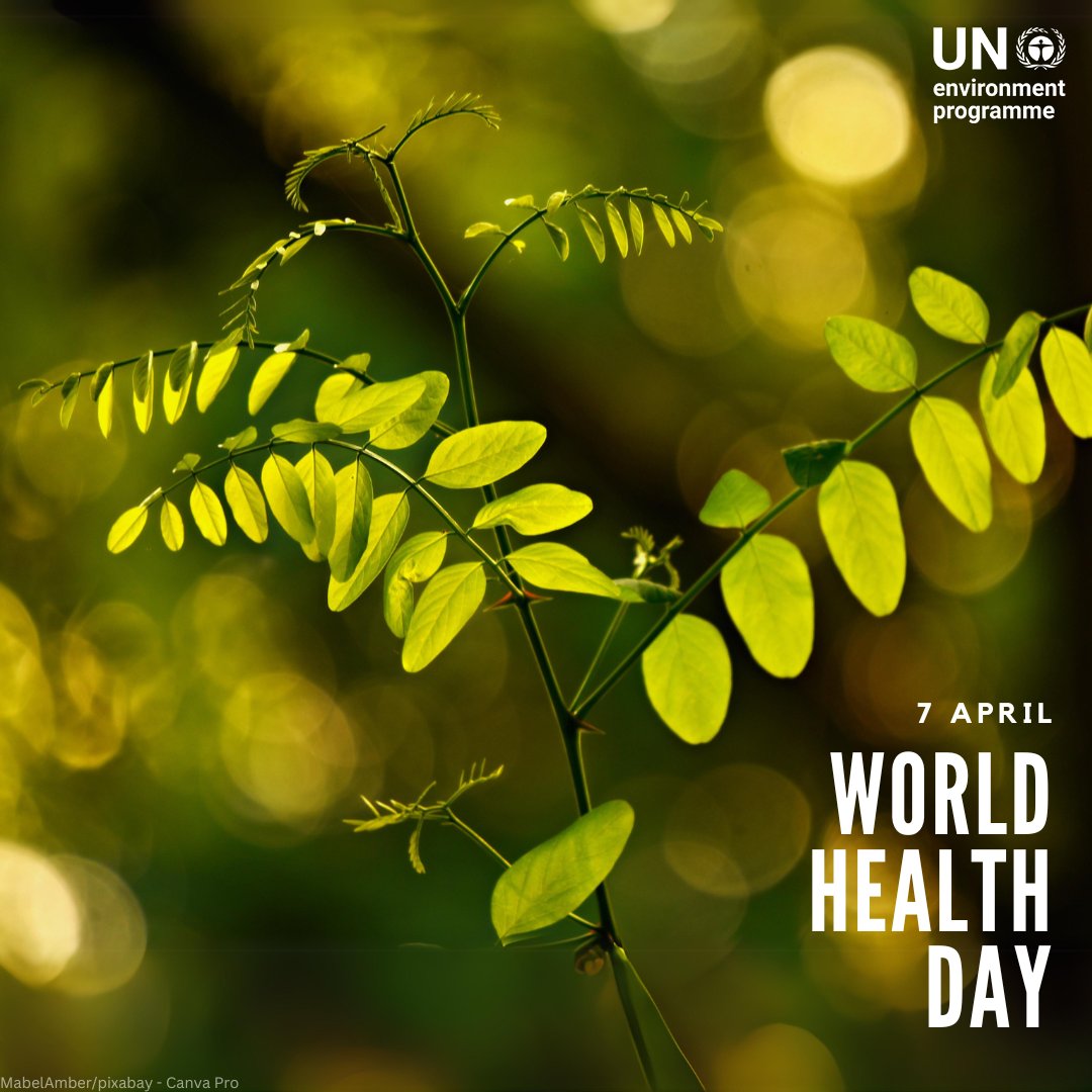 UNEP's tweet photo. A healthy planet benefits us all.

Yet, the triple planetary crisis of climate change, nature &amp; biodiversity loss, and pollution &amp; waste, poses an imminent threat.

#WorldHealthDay serves as a reminder to take action #ForNature &amp; a sustainable future.

https://t.co/l6PEaTmMPV https://t.co/bDSzRwjtKH