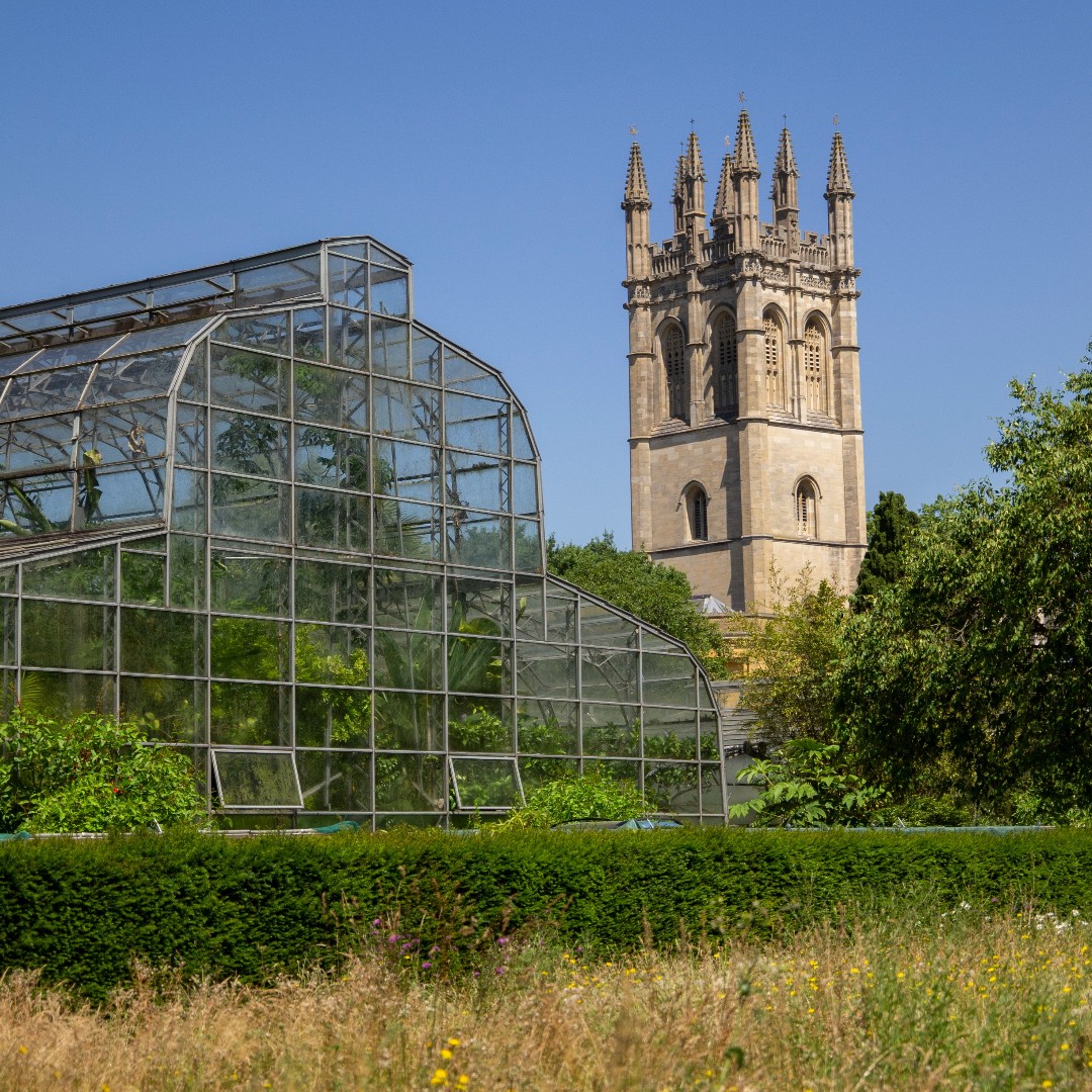 ⚠️ Due to high winds our glasshouses may be closed this Sunday (7 April). The rest of the Garden will be open as normal. We apologise for any inconvenience this may cause.