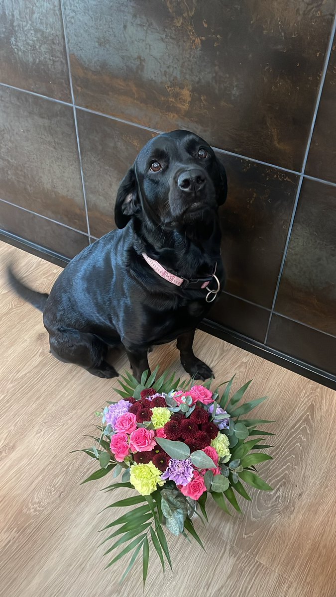 abbey posing with flowers from the best teammates in the world❤️ thank you guys🥰🥹 @AuroraLyngdal @anjacsgo @Ismo_cs @JosefineCSGO @zibronCSGO