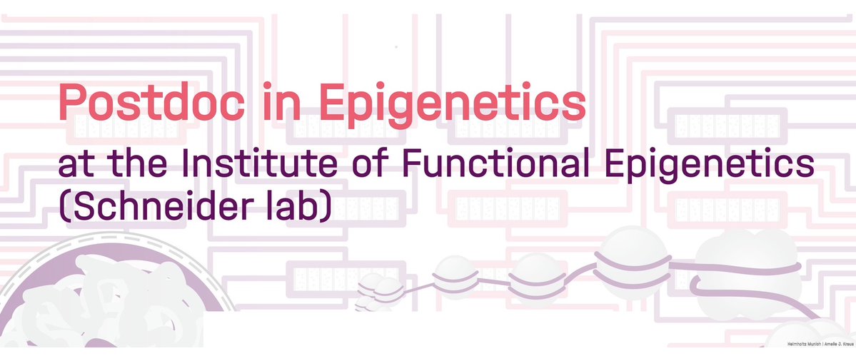 Job alert. Please RT  🚀 PostDoc position in the Schneider lab, Munich 🚀. 
Join us to tackle the next big questions in epigenetics at the single cell level in a collaborative, international &amp; supportive environment 👇🏾
tinyurl.com/ife-postdoc