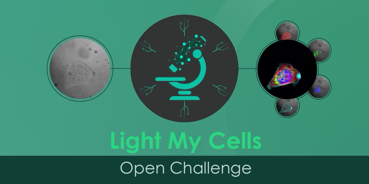 Fr_BioImaging's tweet photo. 🏆Phase 2 submissions for the #LightMyCellschallenge are now open to participants! This is the final round. Will your algorithm be the new image analysis tool? https://t.co/xjSPLH5ajN https://t.co/cPFTq2mEGu