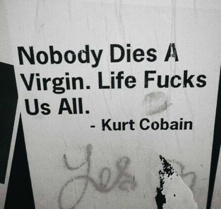 #kurtcobain has it really been 30yrs??!! My spirit animal ! ❤️✌🏼