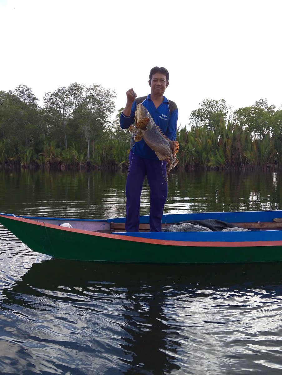 Ali_Akbar28_'s tweet photo. Jumat(5/4), Ali Akbar, Luhkan Tana tidung, KUB Tungku Dacing, Ds Tengku Dacing, melaporkan tangkapan Ikan Kakap Merah, Kerapu, Mancing dan Bubu, 1 April, Sebanyak 25 kg , harga jual 55.000/Kg #GiatLuhkanSatminkalBitung #Tanatidung #Tangkap https://t.co/NH4T6l61Rp