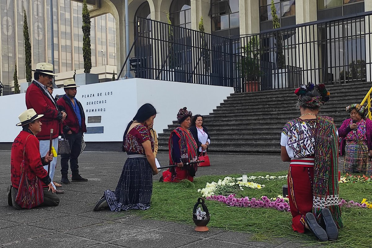 Sandra Cuffe tweet media