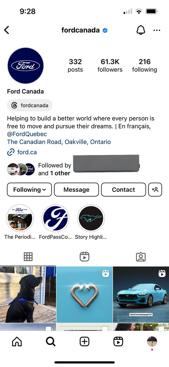 Courtney Stone tweet media