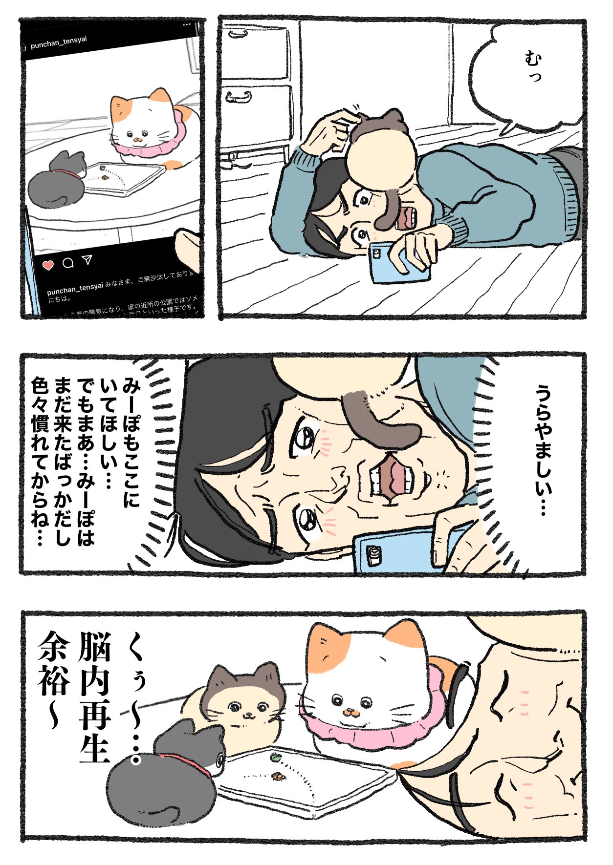 やじま@ねこおじアニメ放送中🐱📺 on X: 