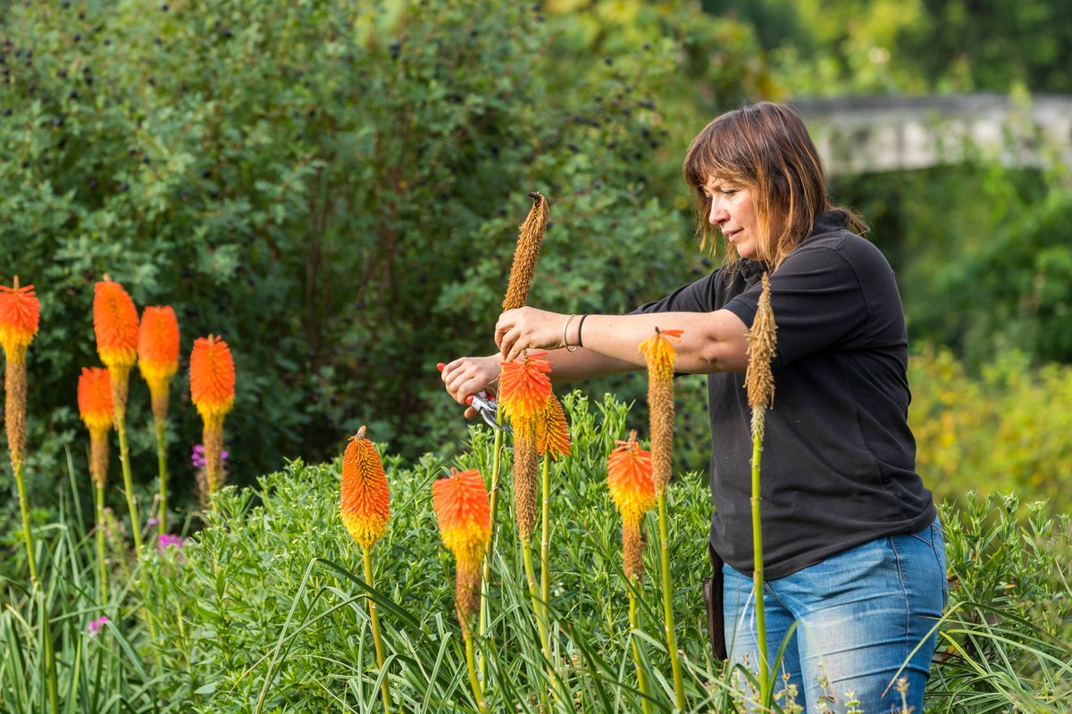 Tickets are still available for a private tour of our gardens on the evening of Wednesday 19th June in aid of the @SomersetNGS @NGSOpenGardens To book tickets, please purchase these through the NGS website. For more information, please visit: hestercombe.com/whats-on/eveni…