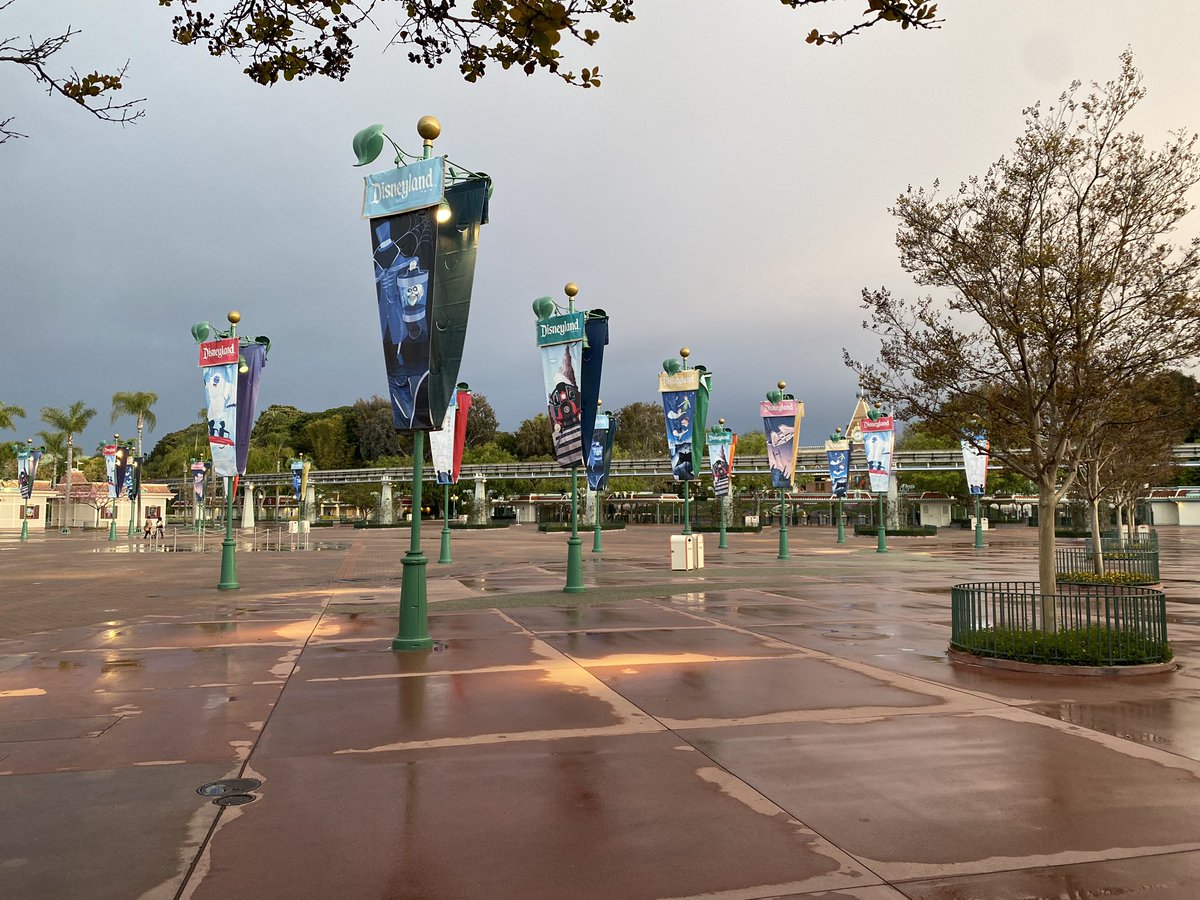 Good morning from #DisneylandResort. We’re here bright and early for the opening day of #StarWars #SeasonOfTheForce! #Disneyland