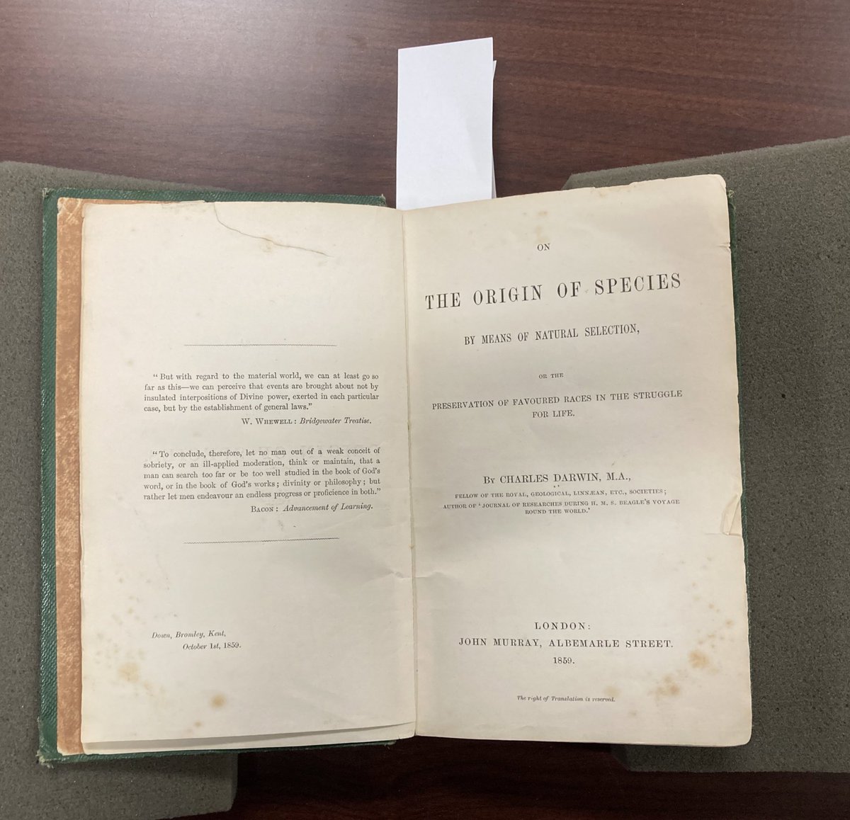 Blown away by the History of Science Collections at OU. Lamarck, Erasmus Darwin, Malthus, Chambers, and Paley. And that’s just a tiny fraction. The highlight was this first edition of The Origin of Species.