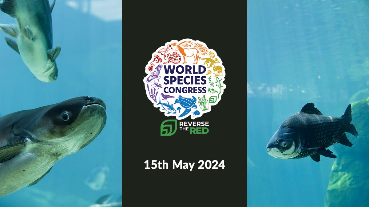 This is your reminder to register for the first-EVER #WorldSpeciesCongress on 15 May 🌏 The fully virtual gathering of species experts and conservation practitioners will encourage a whopping 100,000 commitments towards species conservation. Register 👉 buff.ly/3w59vXj