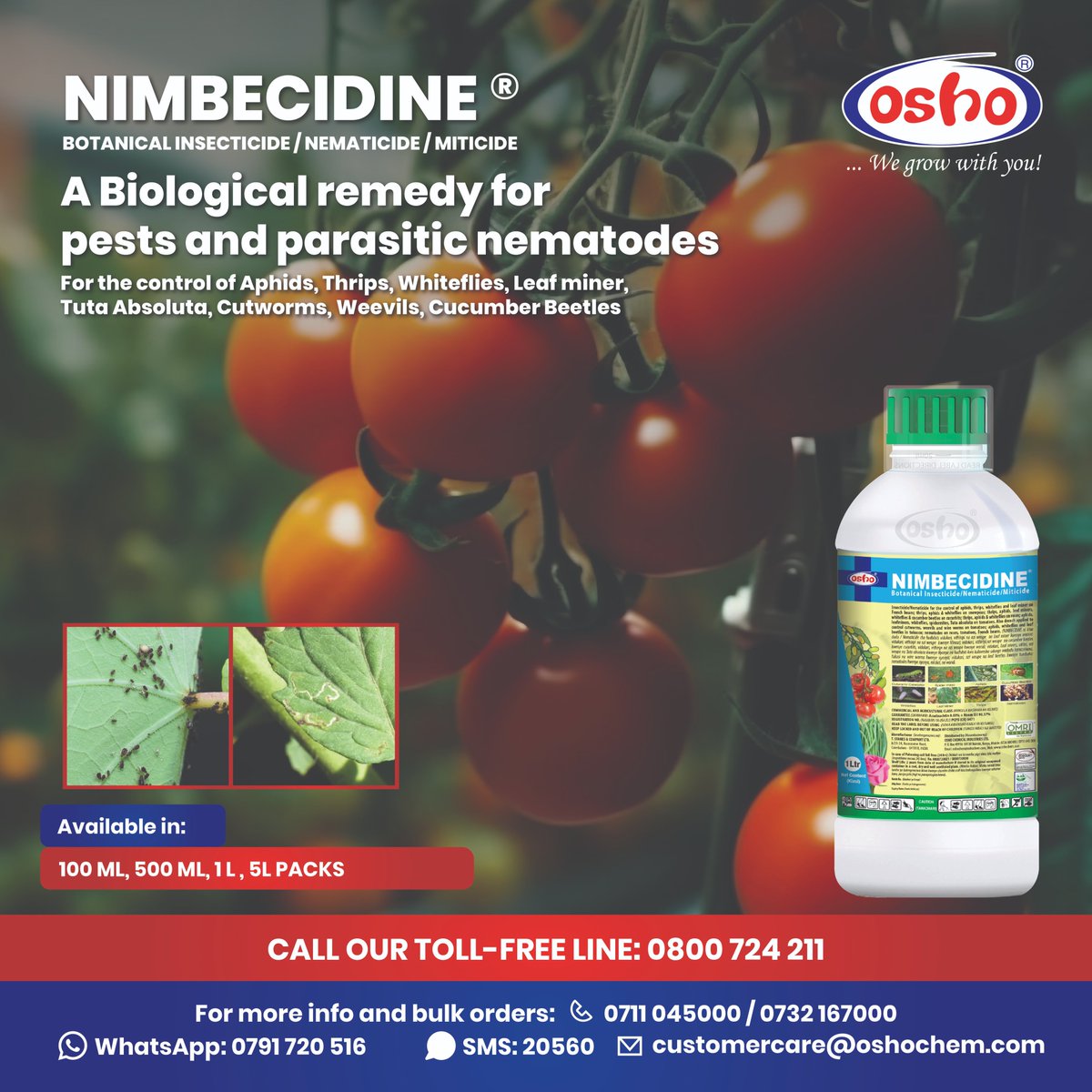 NIMBECIDINE is a biological remedy used to combat Aphids, Thrips, Whiteflies, Leaf miner,​ Tuta Absoluta, Cutworms, Weevils & Cucumber Beetles.​ Call us for free via: 0800724211 or call 0711 045 000 / 0732 167 000, SMS 20560 or on WhatsApp via 0791 720 516. #wegrowwithyou