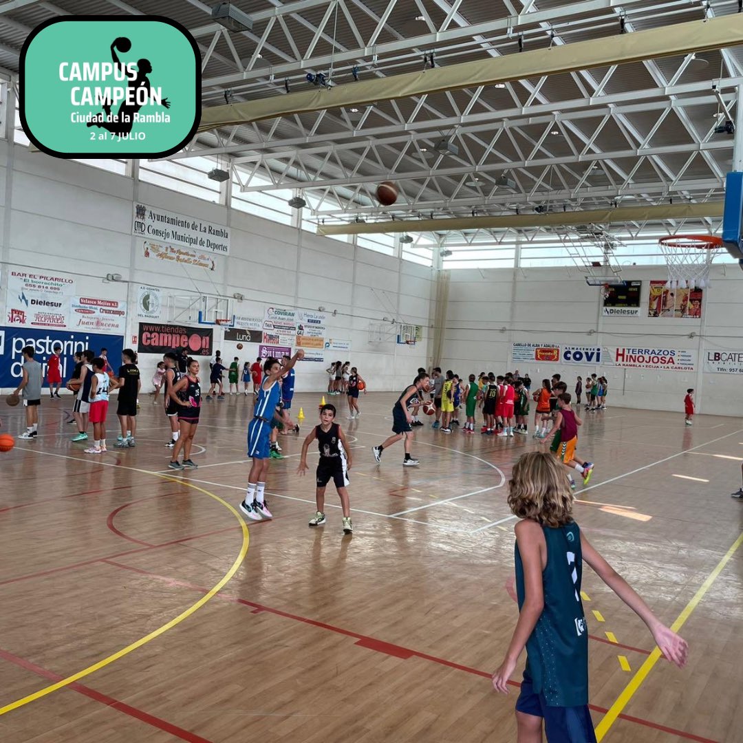 𝗖𝗔𝗠𝗣𝗨𝗦 𝗖𝗔𝗠𝗣𝗘𝗢𝗡 está cada vez más cerca🥳
📆Estamos contando las semanas para volver a vernos rodeados del mejor baloncesto🔜

Inscripciones 👉🏽 gigantesdelbasquet.es
‼️𝗟𝗔𝗦 𝗣𝗟𝗔𝗭𝗔𝗦 𝗦𝗢𝗡 𝗟𝗜𝗠𝗜𝗧𝗔𝗗𝗔𝗦‼️