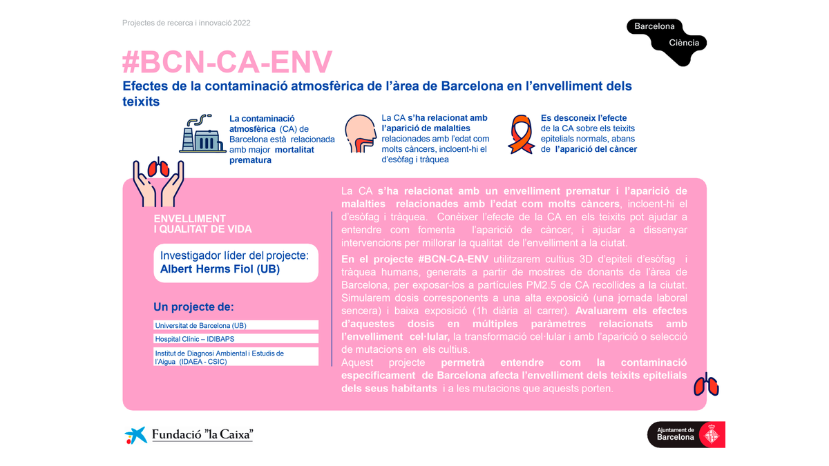 🏙️ #BCNCAENV: un estudi dels efectes de la contaminació atmosfèrica de l'àrea de Barcelona en l'envelliment de teixits. ℹ️ via.bcn/v1XF50R93QB 👇