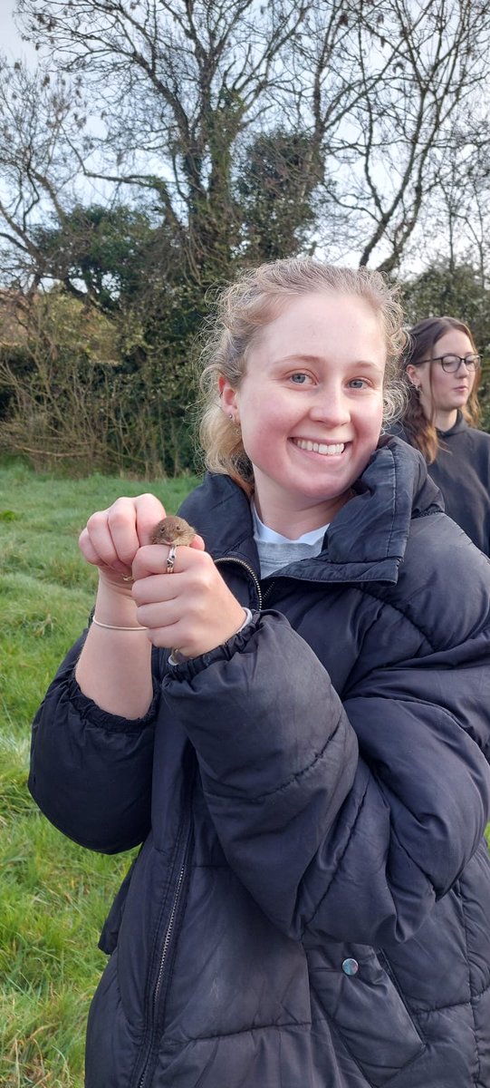 Have you ever seen a bank vole on campus? Masters students from @sussexlifesci took time to monitor and map the mammals we have at Sussex, that make up our biodiverse #ecosystem 🐭 📷 Fiona Matthews #ResearchWithImpact