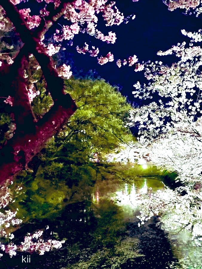 __4_leaf_clover's tweet photo. 🌃
🖋️

さくら色の
空を見ながら

年に一度の語らいや
懐かしい顔ぶれに
会えることを楽しみに

足取りも軽く
歩く桜の小道 .・🌸

ゆっくりと
感謝を込めて
ゆっくりと歩く

🍃・.  素敵な時  . ・🍃

また
来年も会えるかな . ・🌸

　　　　　　　🍀

　去年の🌸です https://t.co/tMNwxTRfMt