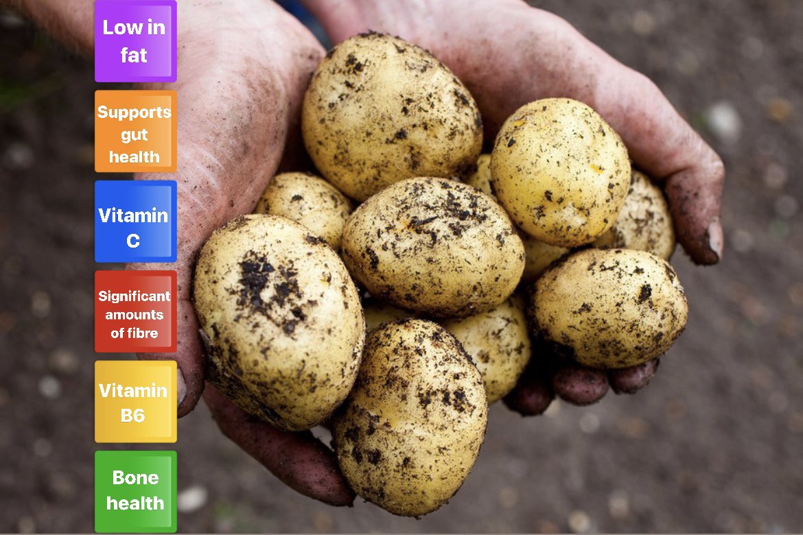 With World Health Day coming up Sunday 7th April make sure you include potatoes in your diet 🥔 Did you know potatoes are packed with nutrients & vitamins They can even help with gut health 🦠and blood sugar management 🩸 #worldhealthday #potatoes #potatoesarelife #lovethespud