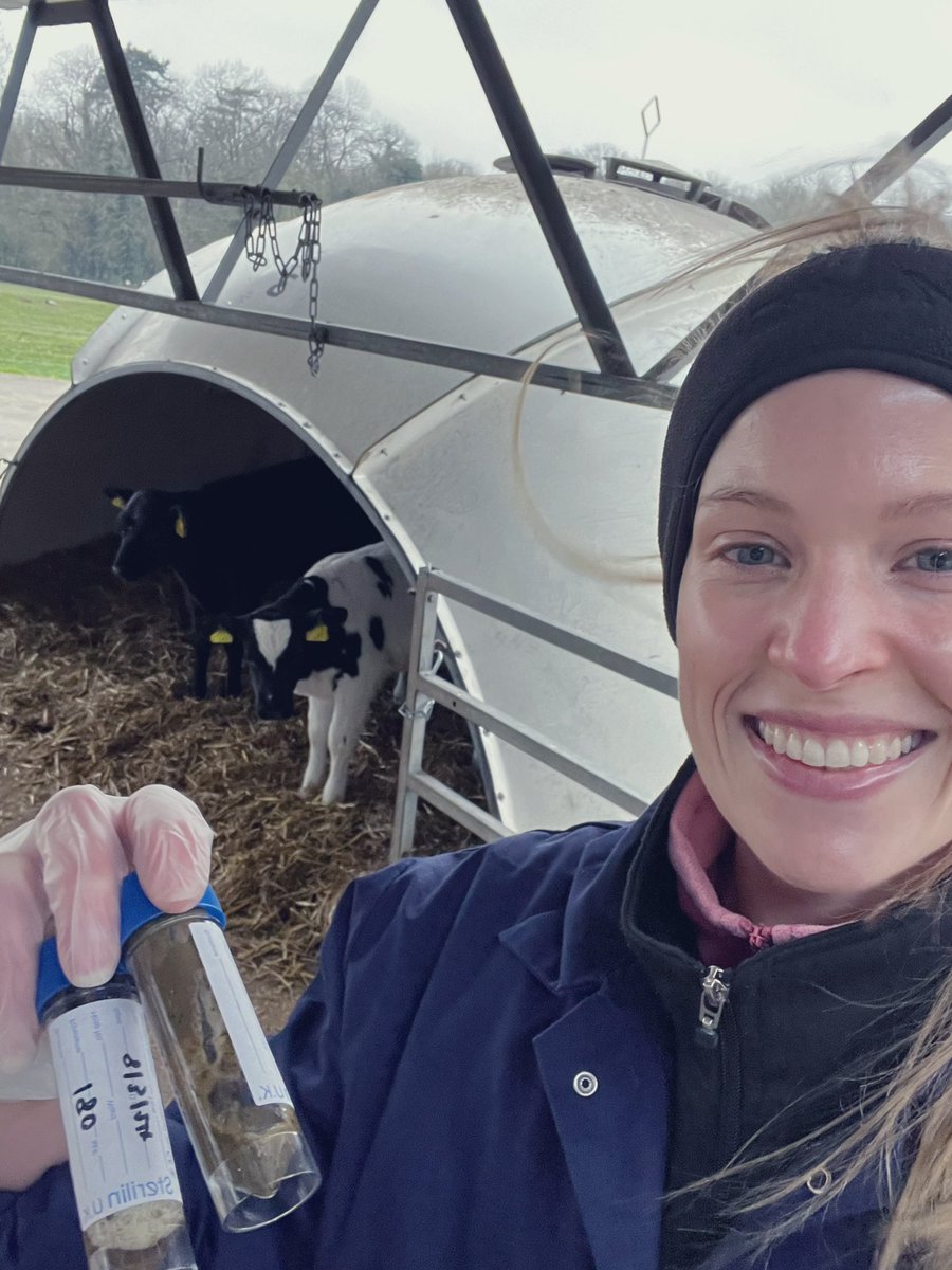 Aisling carroll tweet media