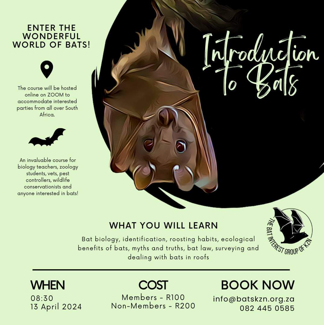 Join us on the 13th of April for an exciting Introduction to Bats course! ❤ This course is designed for conservationists, biologists, bat lovers, bat haters (you won't be by the time we are done!) and for everyone who is just interested in learning something new. Pls share!🦇