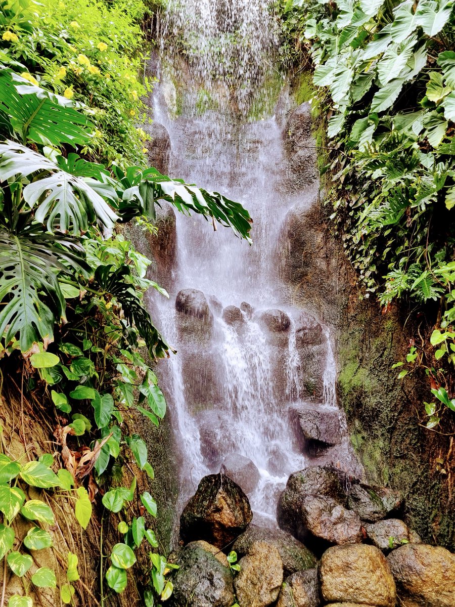 It looks like the Eden Project outside! #FridayFeeling #rain #WeatherUpdate #storm #waterfall