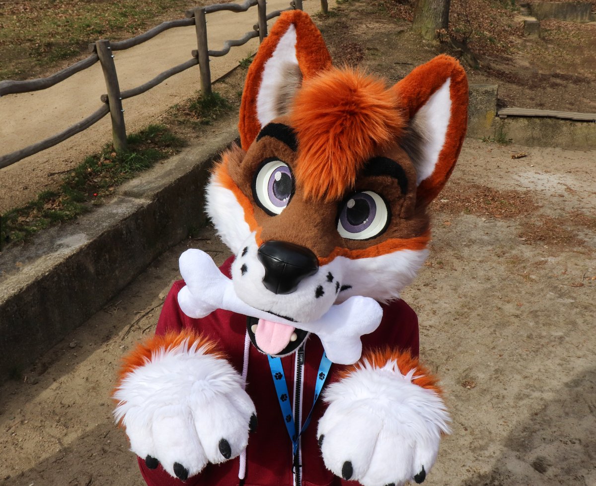 Happy #FursuitFriday everyone^^
✂️@R5suits 
📷<a href="/lukybollard/">Luky Bollard</a>