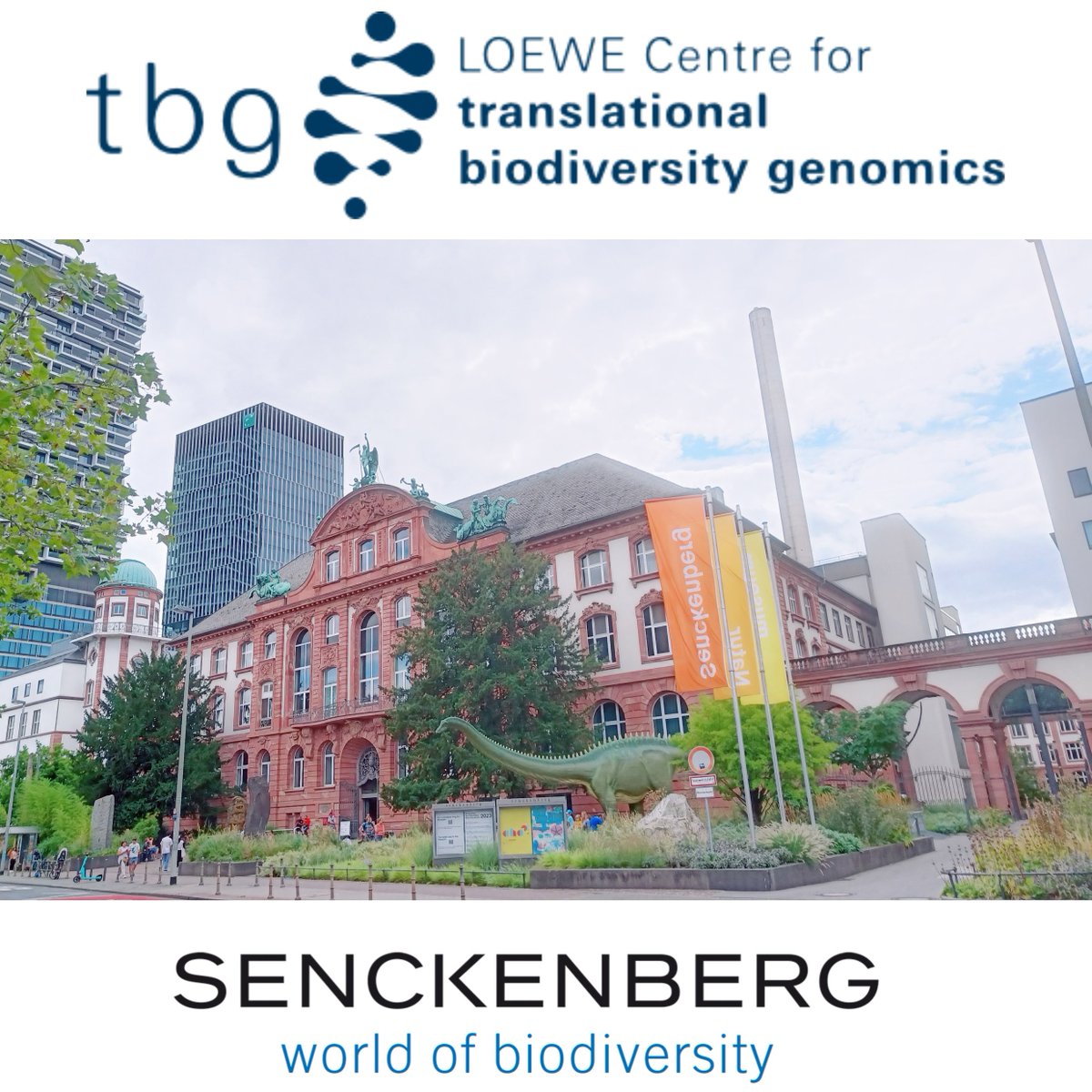 I am recruiting a #postdoc to join my research group @LOEWE_TBG @geobiodiversity in Frankfurt to work on animal adaptation #Genomics . For questions feel free to contact me directly. Application deadline is 5 May. Please RT! sgn.one/i40