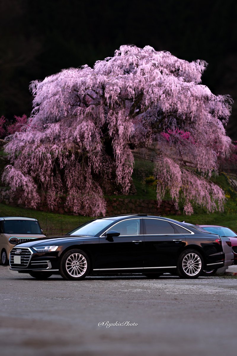 〈今年の桜ショット🌸📸〉
適当編集のためアップNG🤣

#本郷の滝桜 #又兵衛桜  #四輪駆動の日