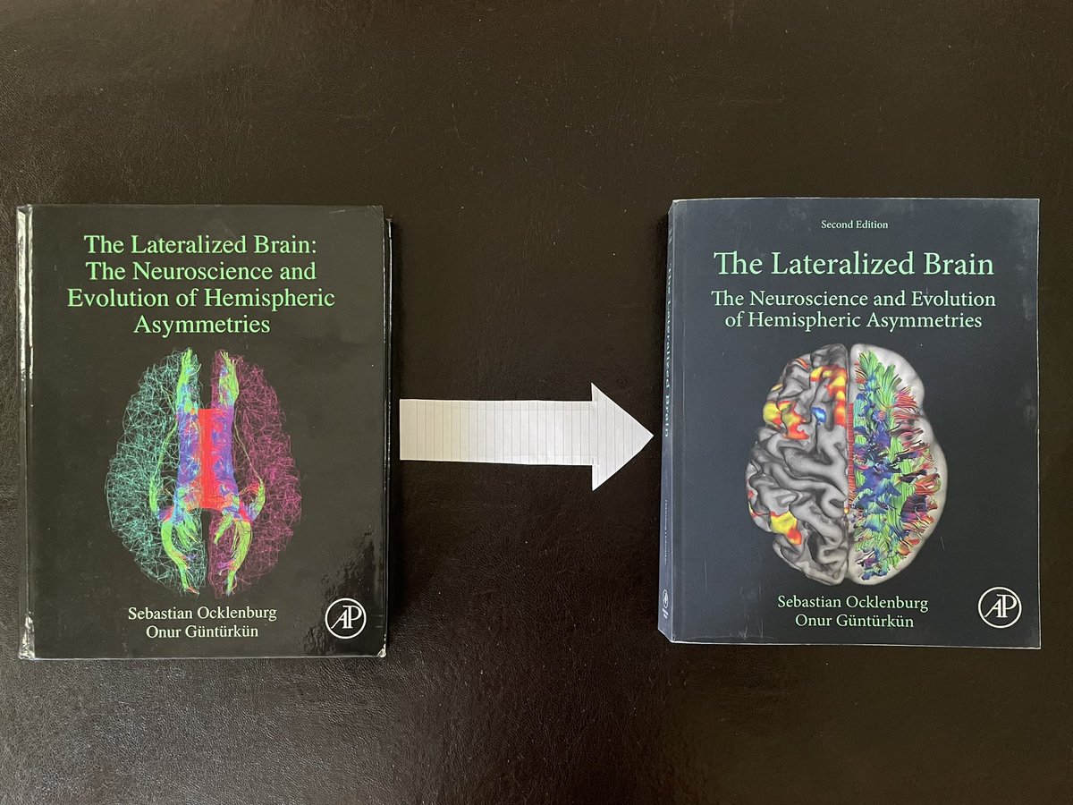 I am very happy to receive the second edition of “the Lateralized Brain”, one of my favorite books. Can’t wait to read it! 🙌 After receiving the acceptance news of our paper, this made my day great! 🎉💃🏽 Thank you so much! @ocklenBLOG 📚📖 #laterality