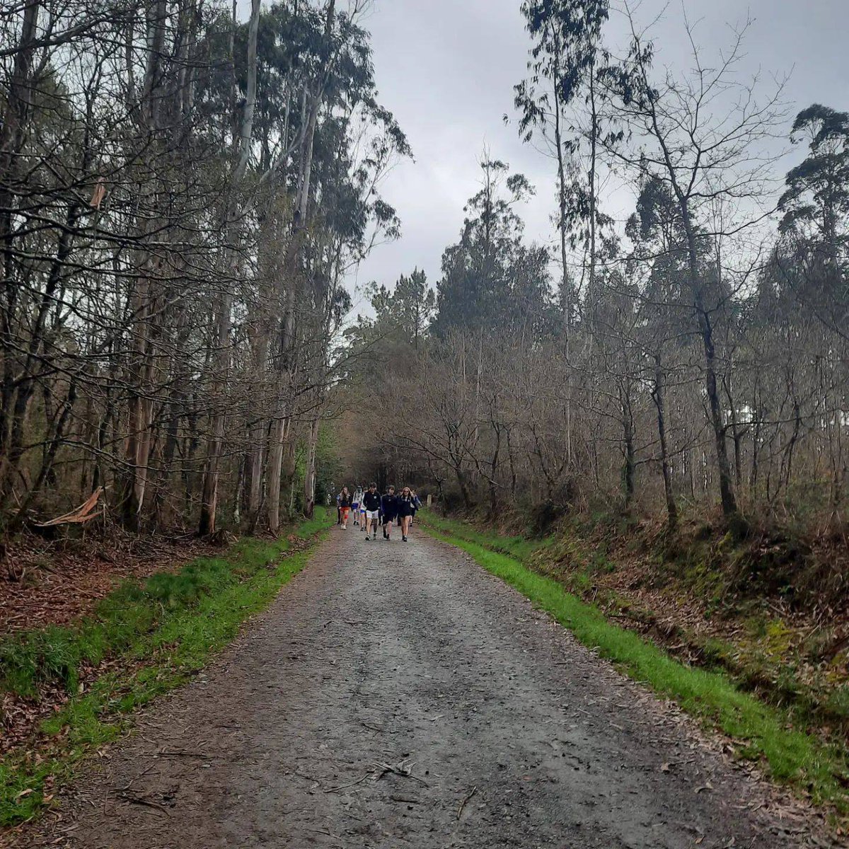 Day 4 and our 2nd last day, huge effort yesterday so a small sleep in this morning....20k today and just under 40k to go overall. #BuenCaminoTY2024