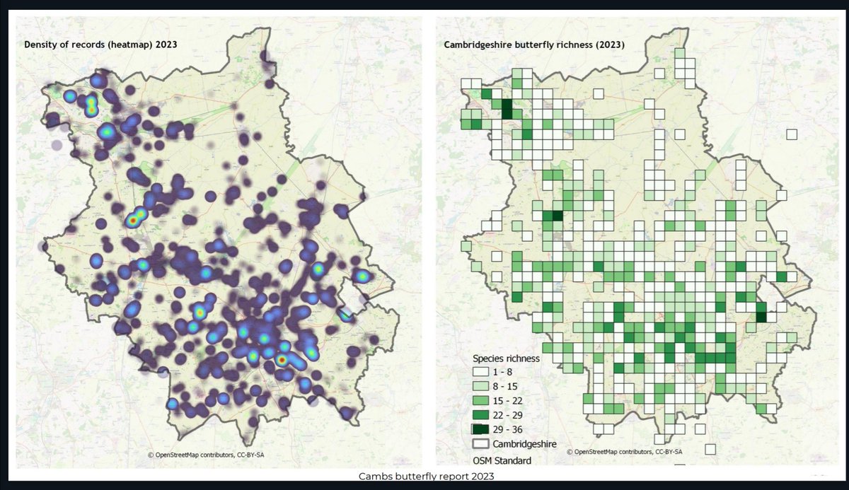 Cambridgeshire data holes. As the 2024 butterfly season gets up and running here's a couple of maps from the 2023 data. Left is a heat map of the number of records, right species richness. This is a fairly typical year in records 🧵